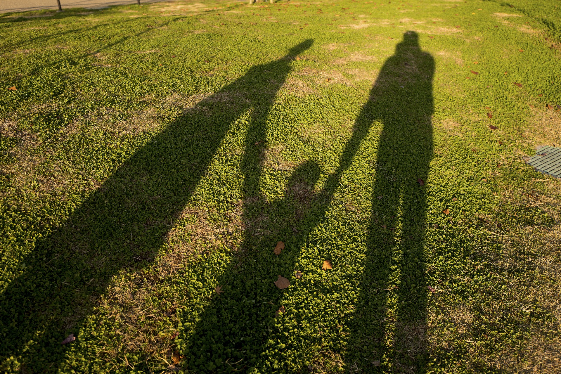 Learning with nature - Light and shadow