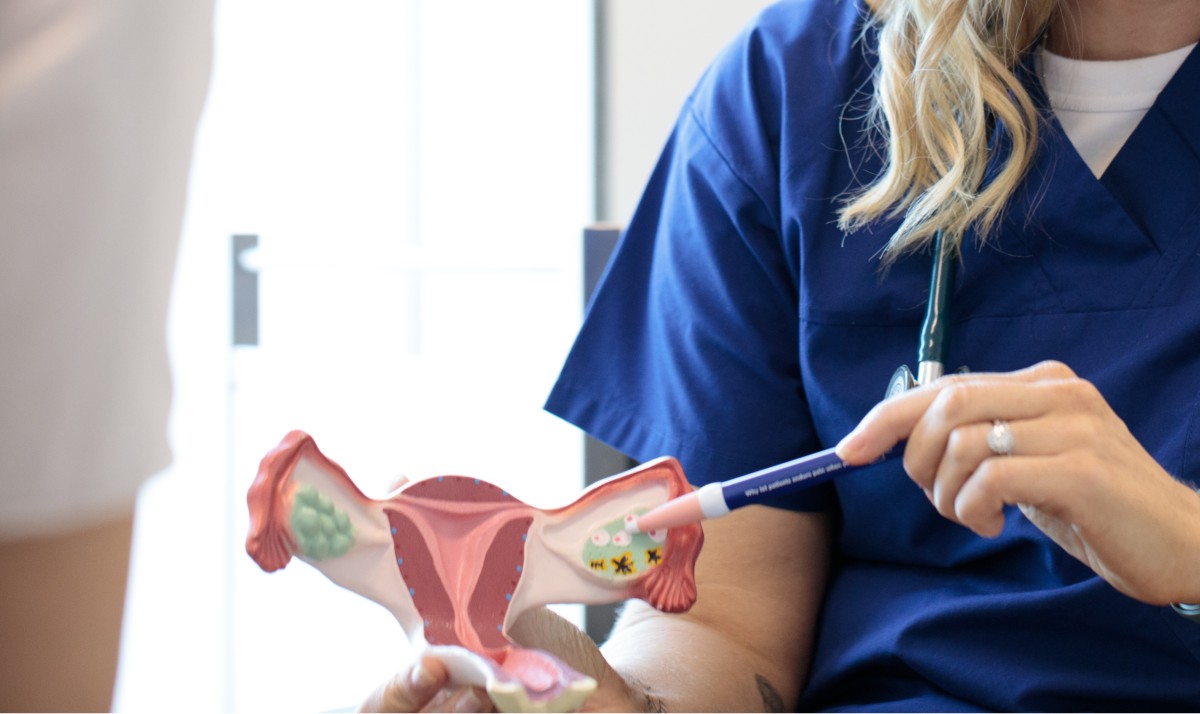 Understanding female reproductive anatomy and hormones - for nurses