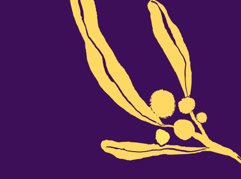 Benign vulval disease